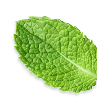 leaf2x-2