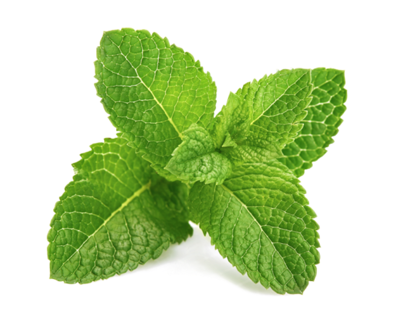 Menthol image